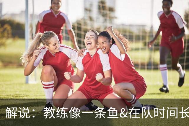 解说：教练像一条鱼&在队时间长了就会发臭 杜锋话语出现效应递减